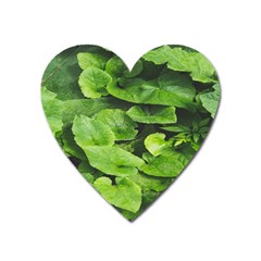 Layered Plant Leaves Iphone Wallpaper Heart Magnet by artworkshop