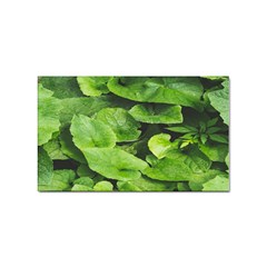 Layered Plant Leaves Iphone Wallpaper Sticker Rectangular (100 Pack)