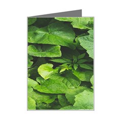 Layered Plant Leaves Iphone Wallpaper Mini Greeting Card by artworkshop