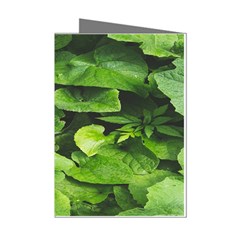 Layered Plant Leaves Iphone Wallpaper Mini Greeting Cards (pkg Of 8) by artworkshop