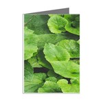 Layered plant leaves iphone wallpaper Mini Greeting Cards (Pkg of 8) Right