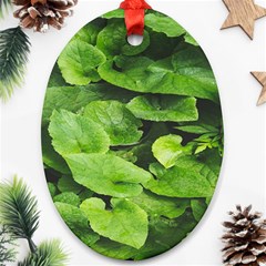 Layered Plant Leaves Iphone Wallpaper Oval Ornament (two Sides) by artworkshop