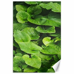 Layered Plant Leaves Iphone Wallpaper Canvas 24  X 36  by artworkshop