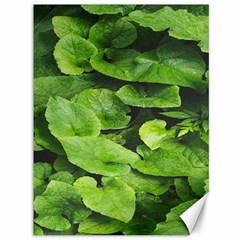 Layered Plant Leaves Iphone Wallpaper Canvas 36  X 48  by artworkshop