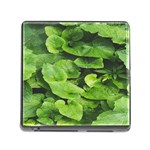 Layered plant leaves iphone wallpaper Memory Card Reader (Square 5 Slot) Front