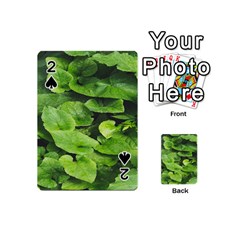 Layered Plant Leaves Iphone Wallpaper Playing Cards 54 Designs (mini) by artworkshop