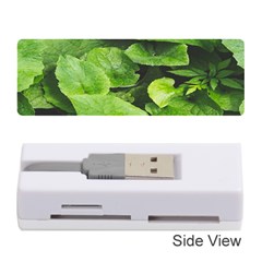 Layered Plant Leaves Iphone Wallpaper Memory Card Reader (stick) by artworkshop