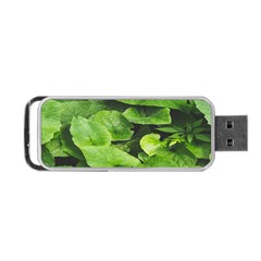 Layered Plant Leaves Iphone Wallpaper Portable Usb Flash (two Sides) by artworkshop