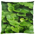 Layered plant leaves iphone wallpaper Standard Premium Plush Fleece Cushion Case (Two Sides) Front