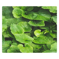 Layered Plant Leaves Iphone Wallpaper Premium Plush Fleece Blanket (small) by artworkshop