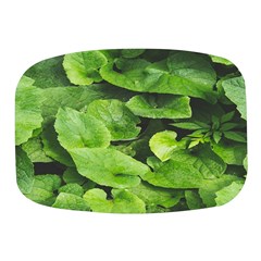 Layered Plant Leaves Iphone Wallpaper Mini Square Pill Box by artworkshop