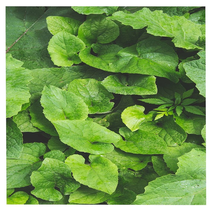 Layered plant leaves iphone wallpaper Wooden Puzzle Square