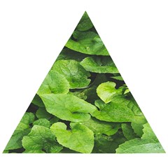 Layered Plant Leaves Iphone Wallpaper Wooden Puzzle Triangle by artworkshop