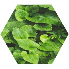 Layered Plant Leaves Iphone Wallpaper Wooden Puzzle Hexagon by artworkshop