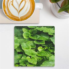 Layered Plant Leaves Iphone Wallpaper Uv Print Square Tile Coaster  by artworkshop