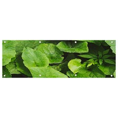 Layered Plant Leaves Iphone Wallpaper Banner And Sign 9  X 3  by artworkshop