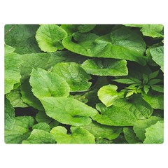 Layered Plant Leaves Iphone Wallpaper Premium Plush Fleece Blanket (extra Small)