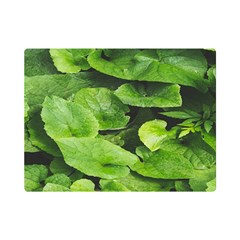 Layered Plant Leaves Iphone Wallpaper One Side Premium Plush Fleece Blanket (mini) by artworkshop