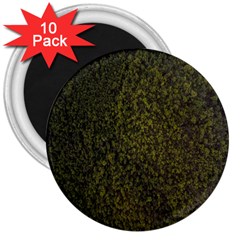 Green Grunge Background 3  Magnets (10 Pack)  by artworkshop