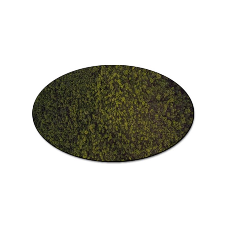 Green Grunge Background Sticker Oval (100 pack)