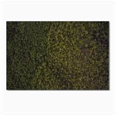 Green Grunge Background Postcard 4 x 6  (pkg Of 10) by artworkshop