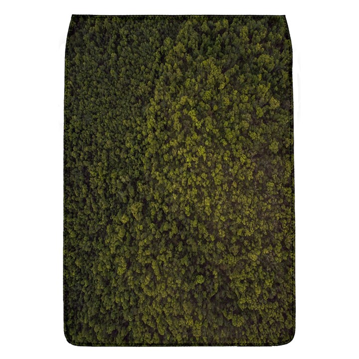 Green Grunge Background Removable Flap Cover (L)