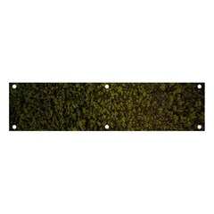 Green Grunge Background Banner And Sign 4  X 1 