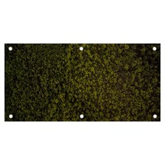 Green Grunge Background Banner And Sign 6  X 3  by artworkshop