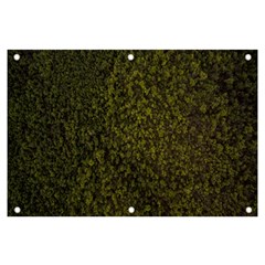 Green Grunge Background Banner And Sign 6  X 4  by artworkshop