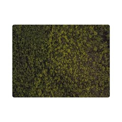 Green Grunge Background One Side Premium Plush Fleece Blanket (mini)