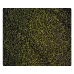 Green Grunge Background One Side Premium Plush Fleece Blanket (small) by artworkshop