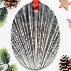 Light Cloud Oval Ornament (two Sides) by artworkshop