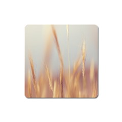 Nature Plants Color Square Magnet by artworkshop