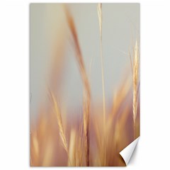 Nature Plants Color Canvas 24  X 36  by artworkshop