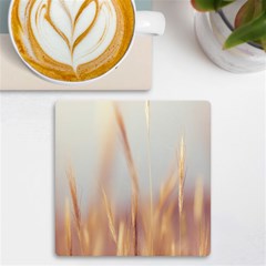 Nature Plants Color Uv Print Square Tile Coaster  by artworkshop