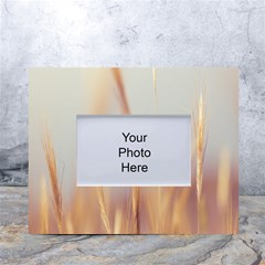 Nature Plants Color White Tabletop Photo Frame 4 x6  by artworkshop