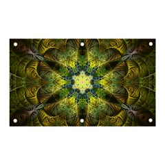 Fractal-fantasy-design-background- Banner And Sign 5  X 3 