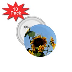 Sunflower Flower Yellow 1 75  Buttons (10 Pack) by artworkshop