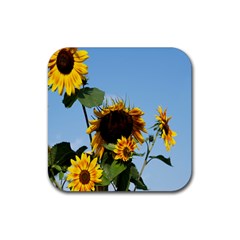 Sunflower Flower Yellow Rubber Coaster (square) by artworkshop