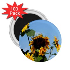 Sunflower Flower Yellow 2 25  Magnets (100 Pack)  by artworkshop