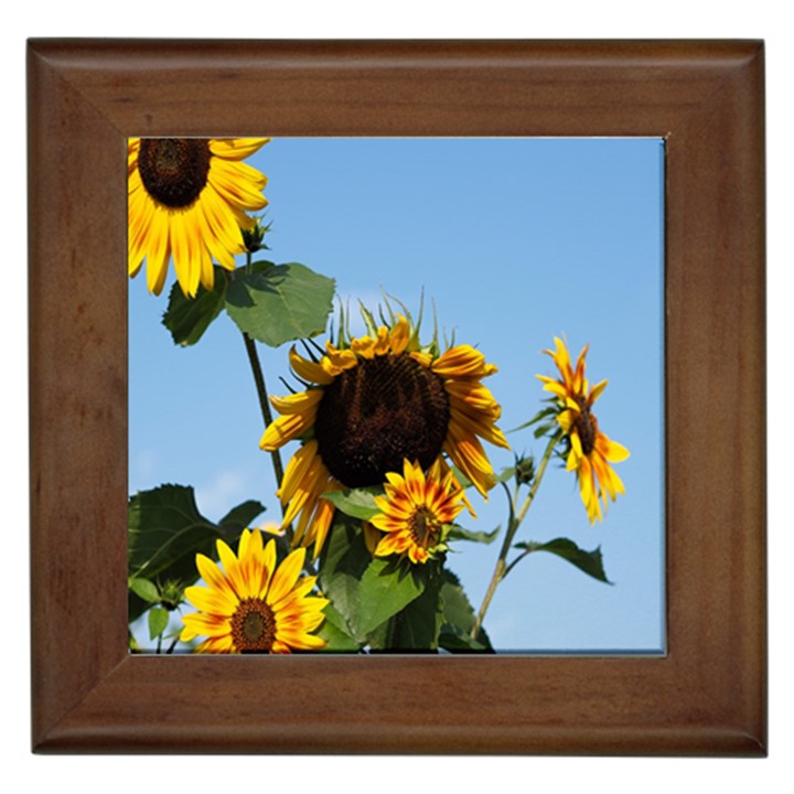 Sunflower Flower Yellow Framed Tile