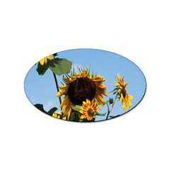 Sunflower Flower Yellow Sticker (oval) by artworkshop