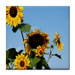 Sunflower Flower Yellow Tile Coaster Front