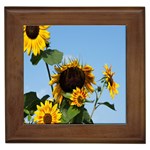 Sunflower Flower Yellow Framed Tile Front