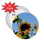 Sunflower Flower Yellow 2.25  Buttons (10 pack)  Front