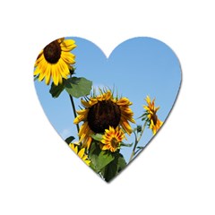 Sunflower Flower Yellow Heart Magnet by artworkshop