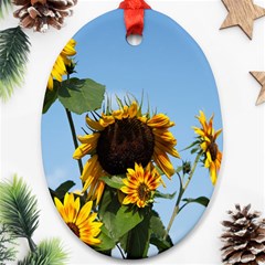 Sunflower Flower Yellow Oval Ornament (two Sides) by artworkshop