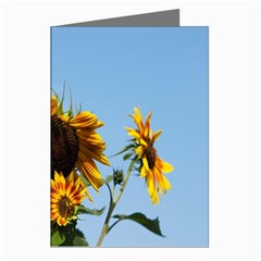 Sunflower Flower Yellow Greeting Cards (pkg Of 8) by artworkshop