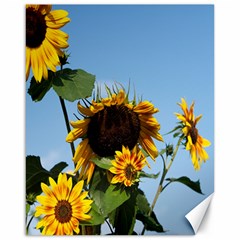 Sunflower Flower Yellow Canvas 16  X 20  by artworkshop