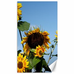 Sunflower Flower Yellow Canvas 40  X 72  by artworkshop